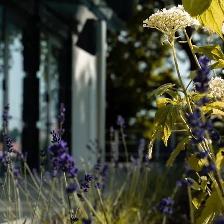 מלון Tin Hückelhoven